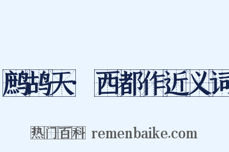 鹧鸪天·西都作近义词是什么意思的图片